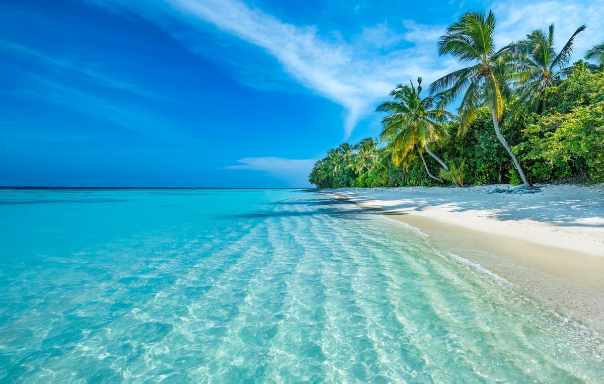 Tropical island beach