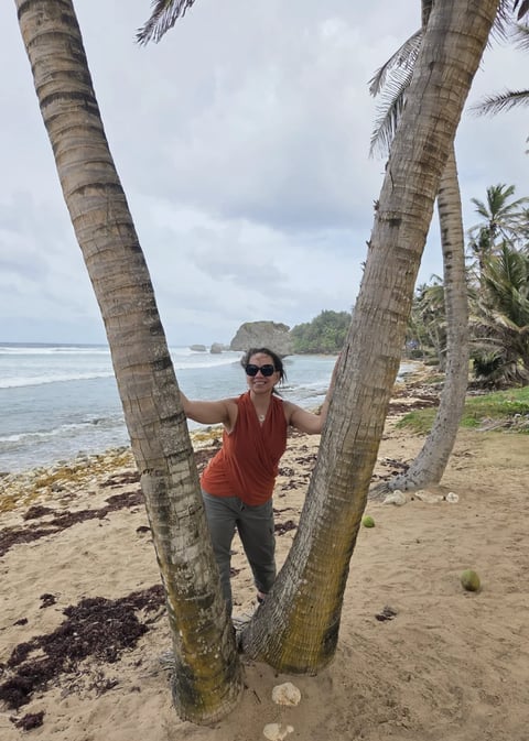 Woman posing between two palm tree trunks on a tropical beach with ocean and forested islands